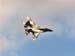 MiG-29_1
