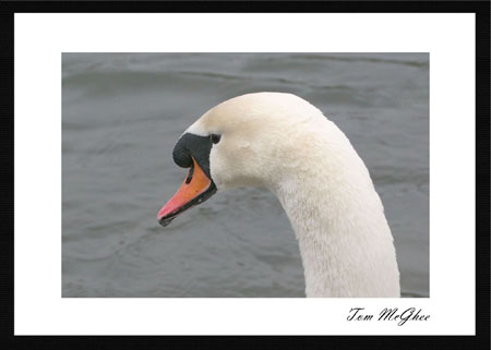 20050304