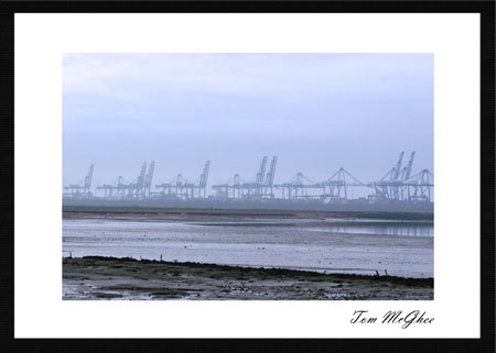 20050314