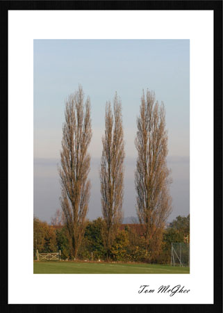 20051120
