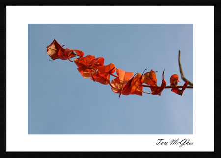 20051014