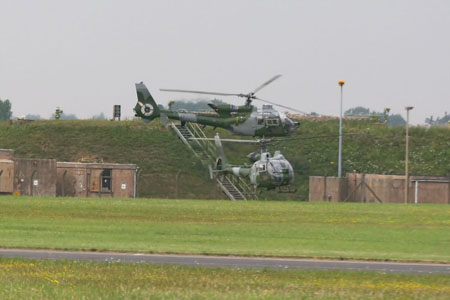 20 - Gazelles recce the area