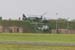 20 - Gazelles recce the area